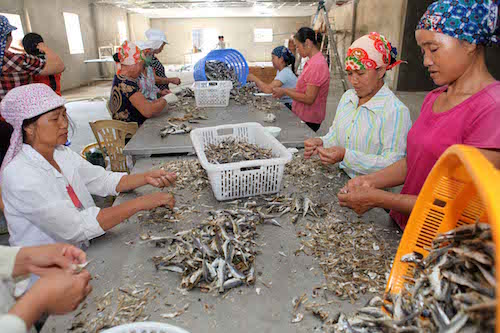 Tín dụng ngân hàng thúc đẩy phát triển kinh tế - xã hội ảnh 4